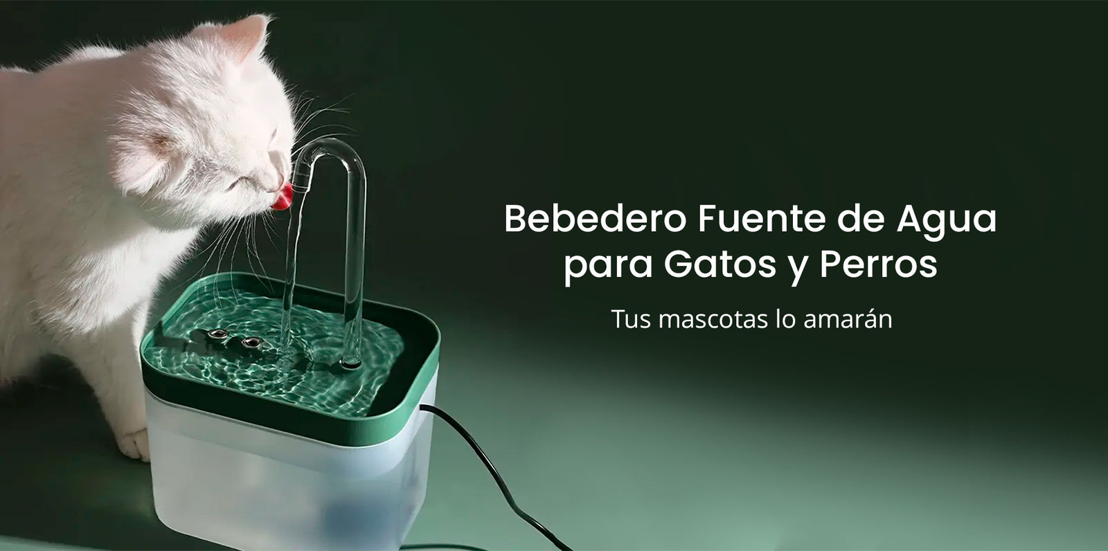 Combo Bebedero para Mascotas con 3 Filtros de Agua | Jota Store